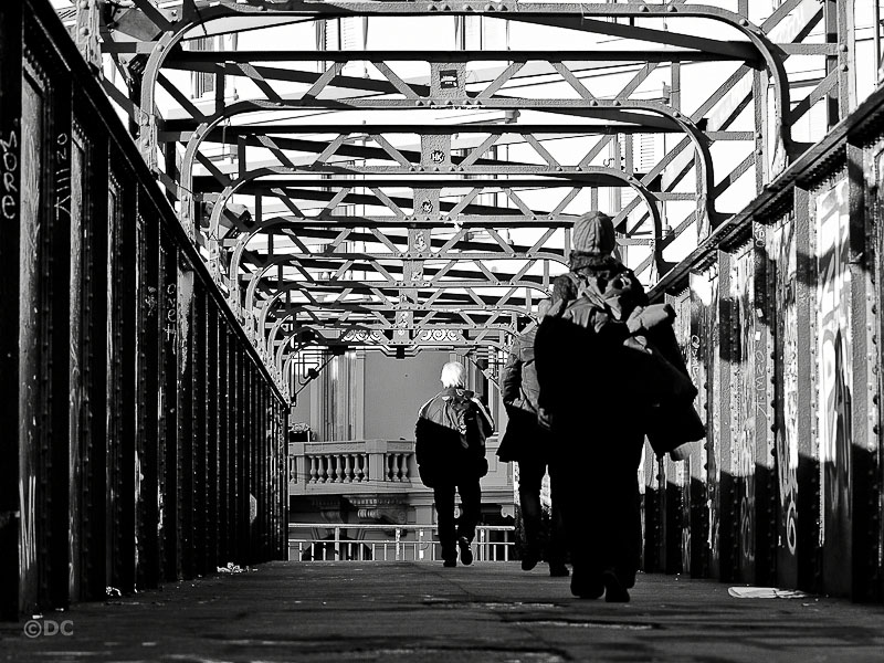 str20111207_05.jpg