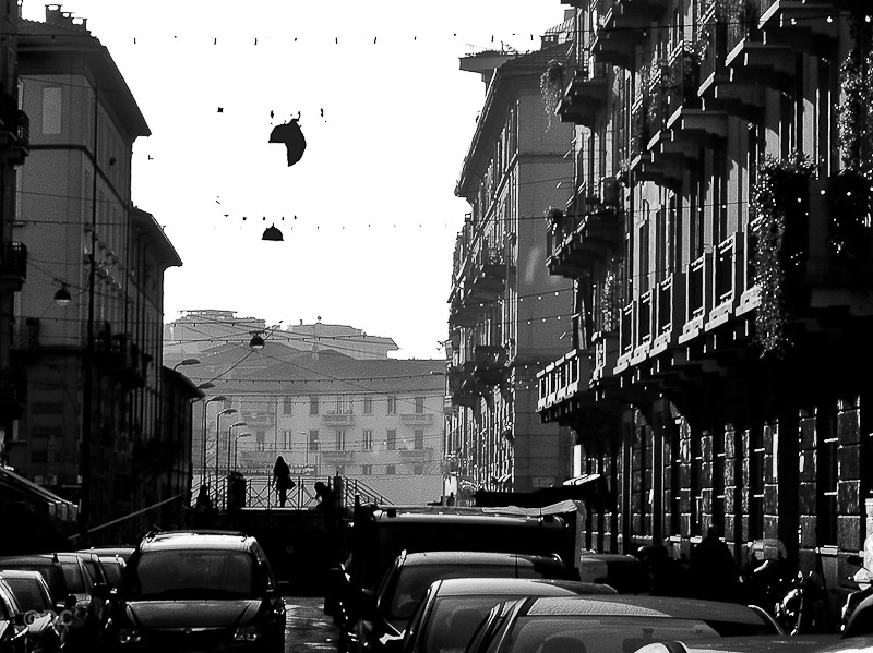 str20111207_06.jpg