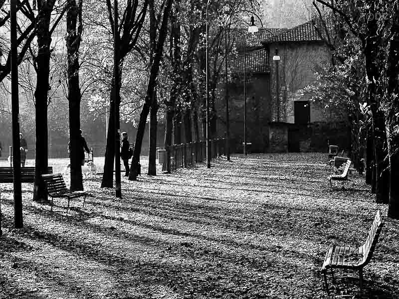 str20111207_21.jpg