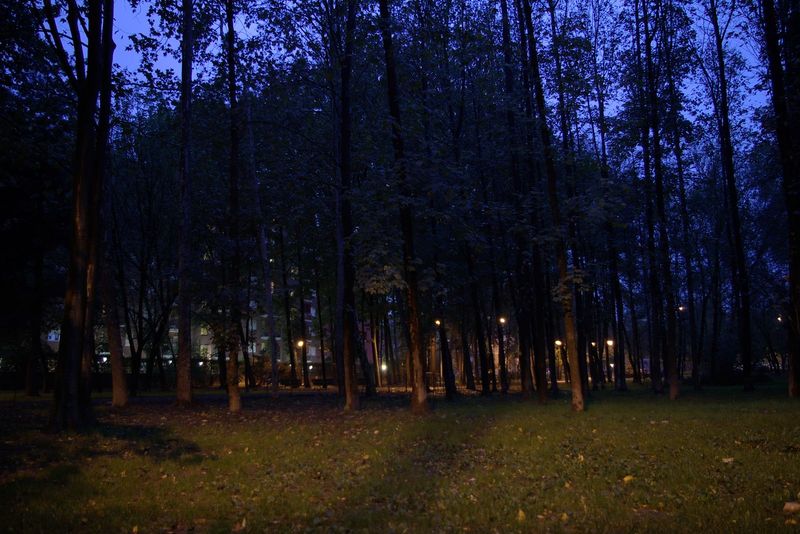 test 2.jpg