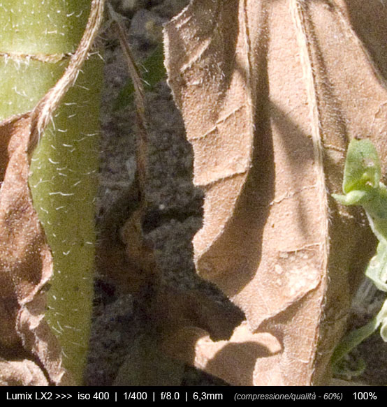 test_iso400.jpg