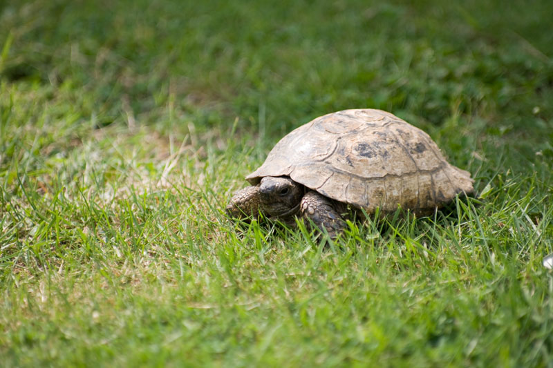tokina50135-1_small.jpg