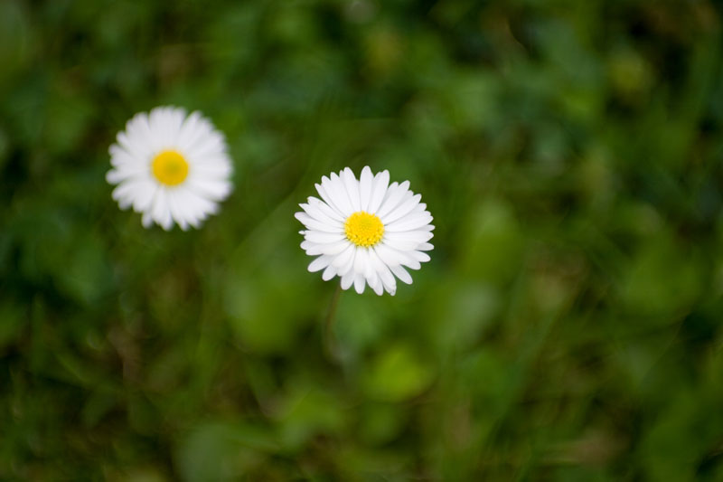 tokina50135-4_small.jpg