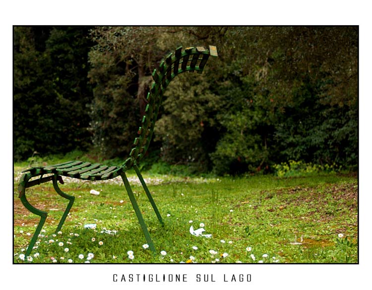 trasimeno14.jpg