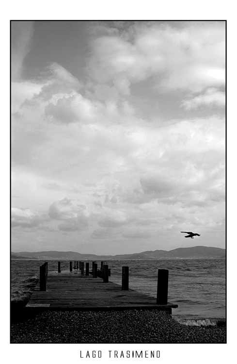 trasimeno18.jpg