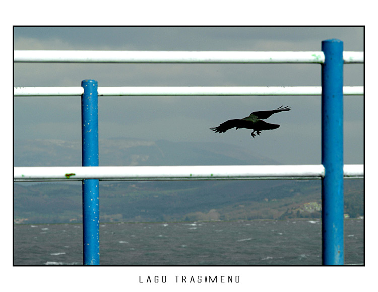 trasimeno6.jpg