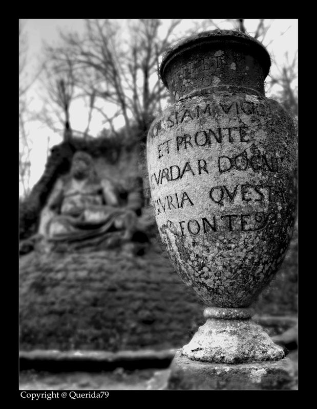 vaso_mod_bw_4p_picc.jpg