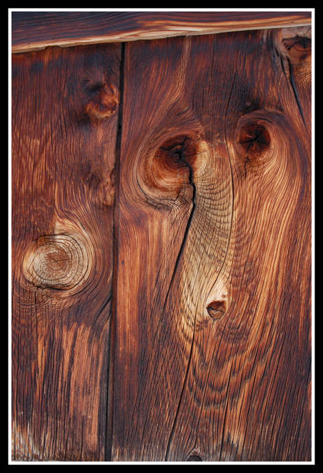 venature-porta.jpg