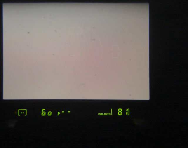 vf_d70.jpg