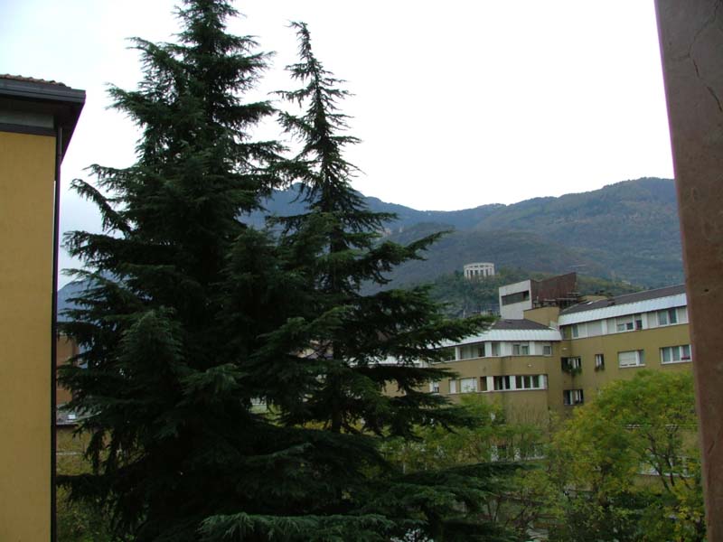 wild normale 800x600.jpg