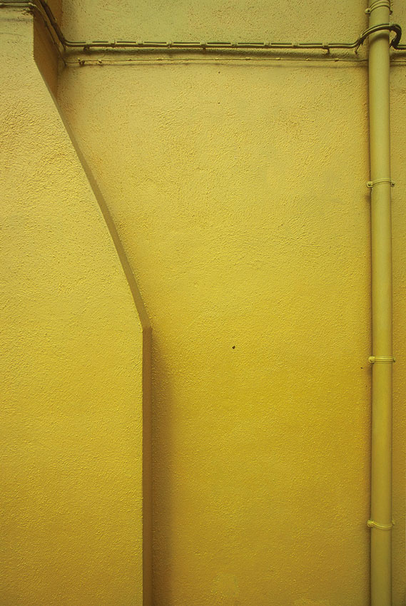 yellow.jpg