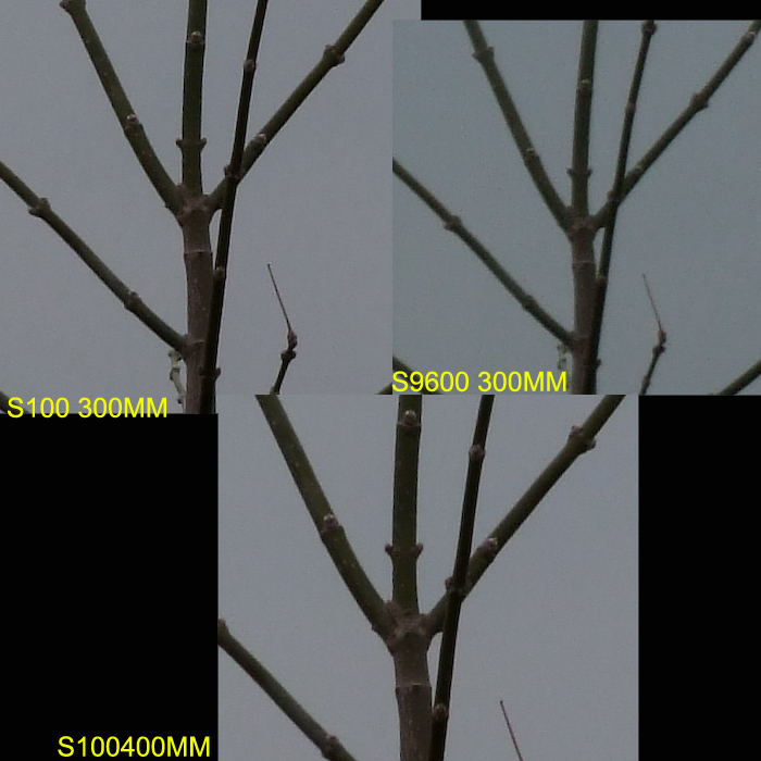ZOOM.jpg