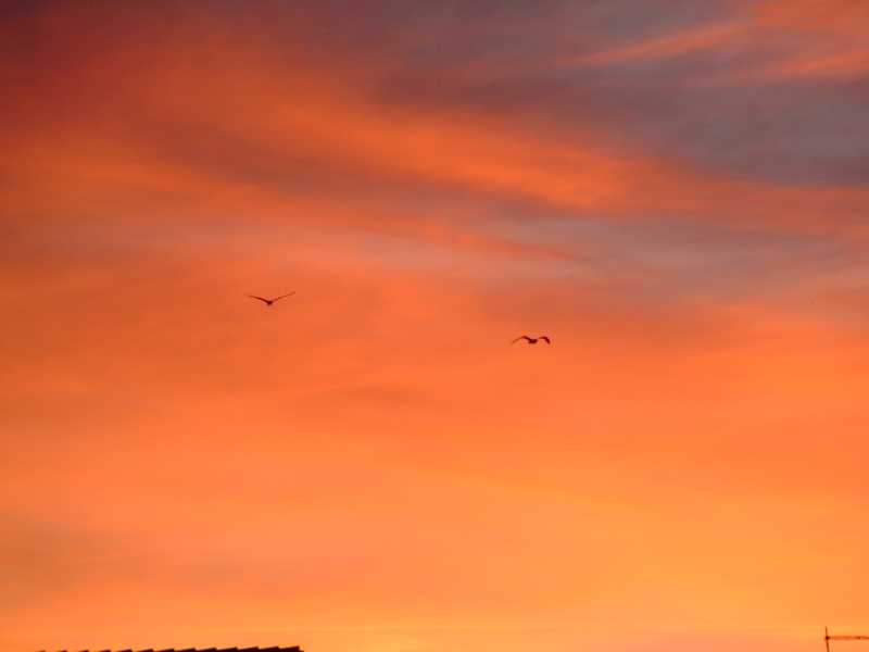 Tramonto