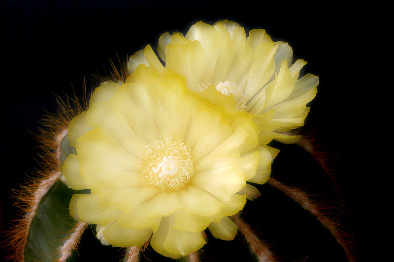07