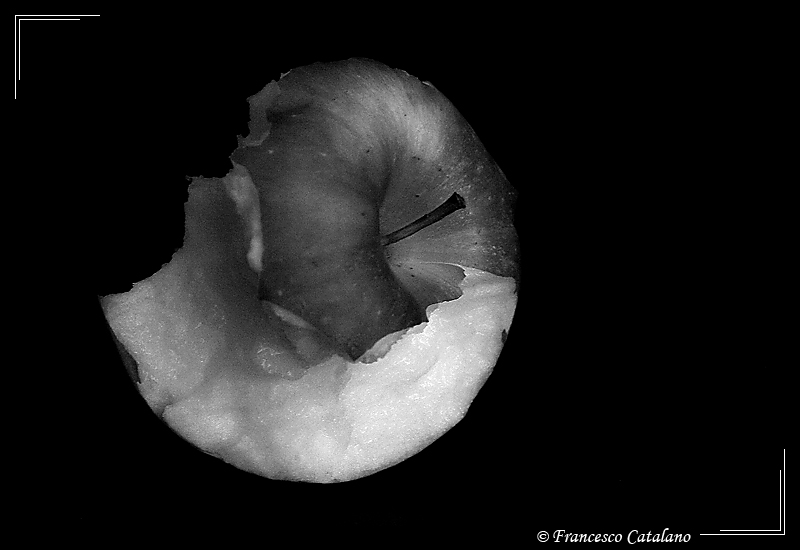 Apple Life #8