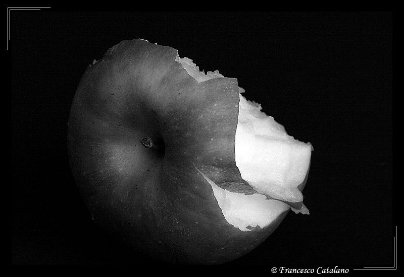 Apple Life #7
