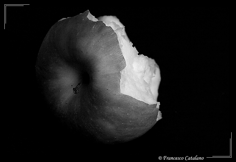 Apple Life #6