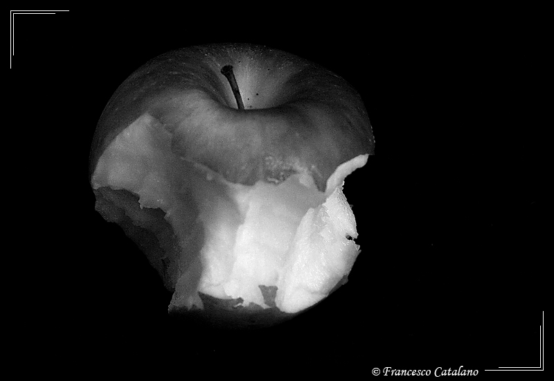 Apple Life #5