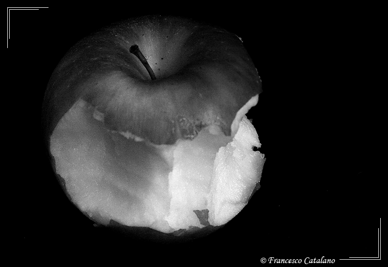 Apple Life #4