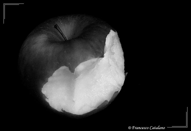 Apple Life #3