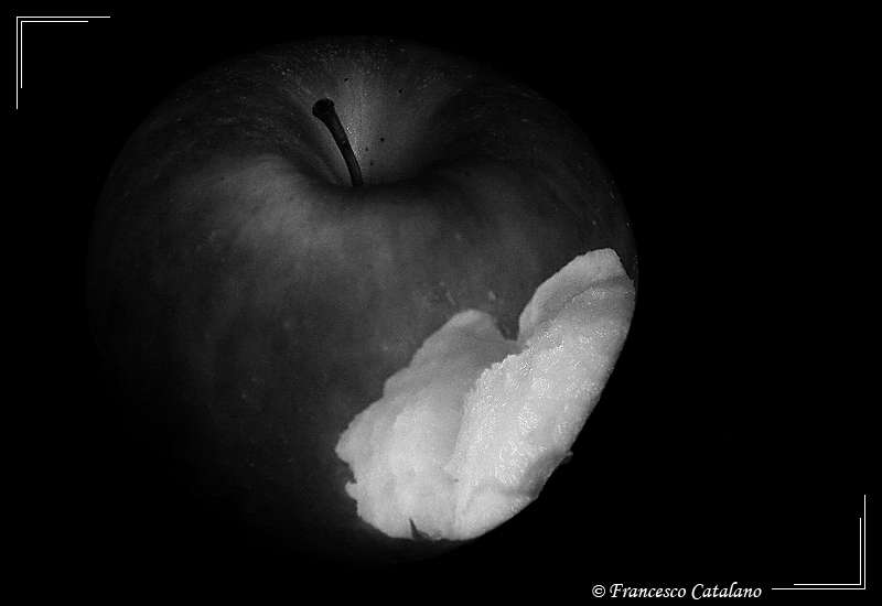 Apple Life #2