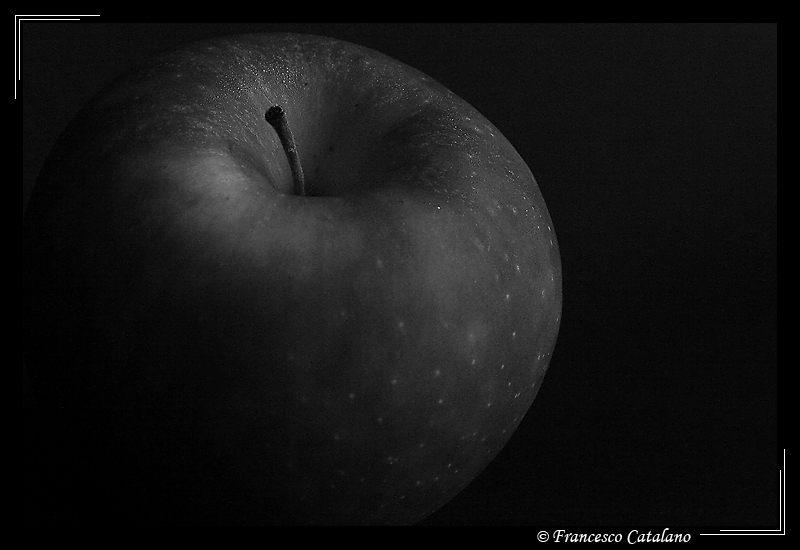 Apple Life #1