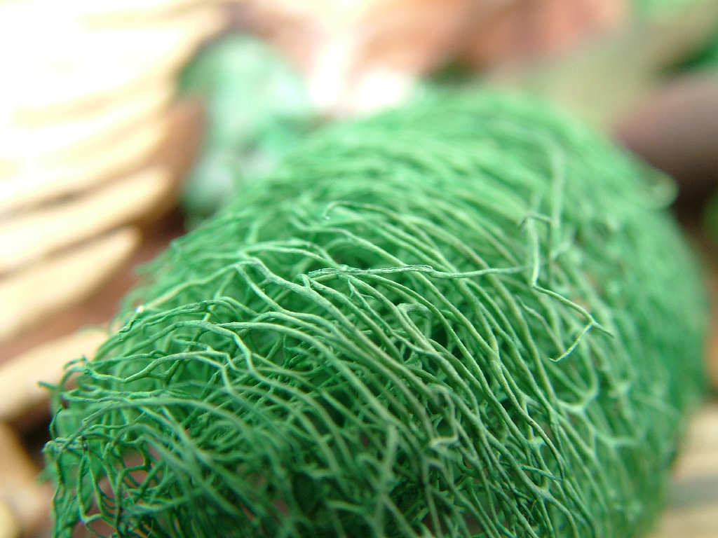 Macro e Pout Pourri 2