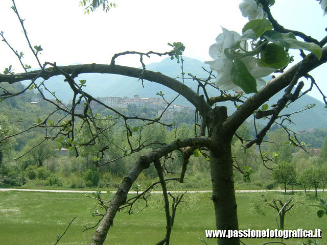 Atina (Frosinone)