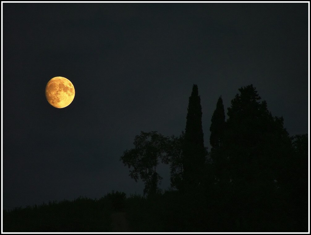 Notte da lupi...