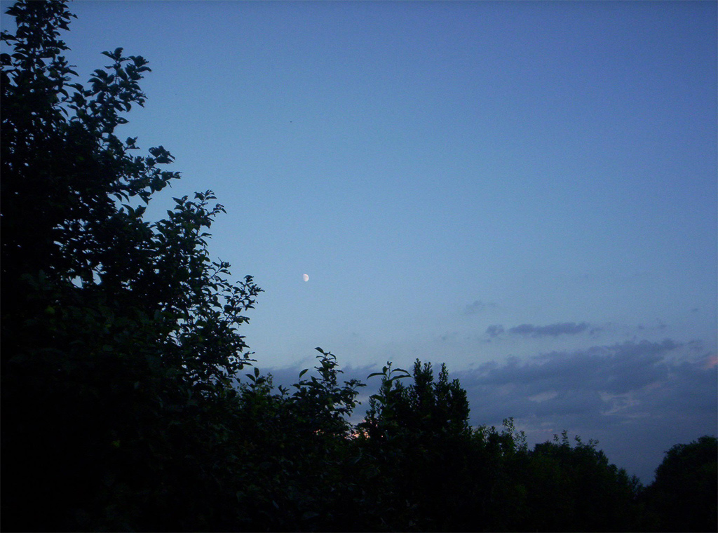 Peaceful Night