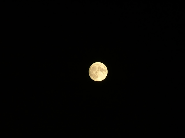 luna sarda