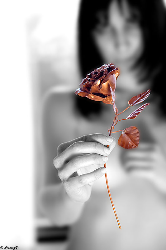 Steel Rose (di Yawgmoth)