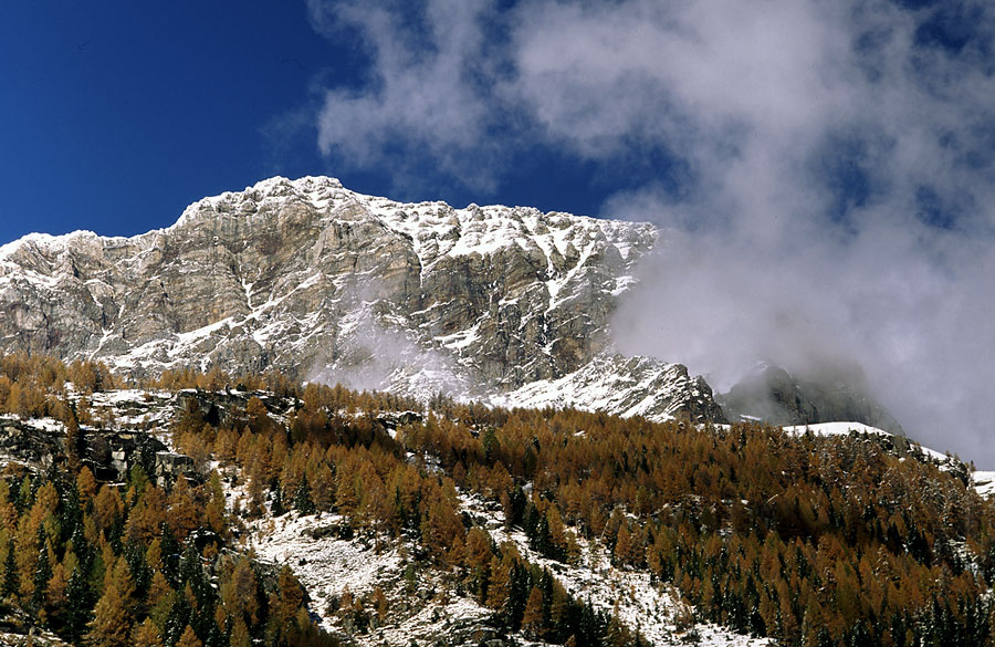 Autunno Valtellinese