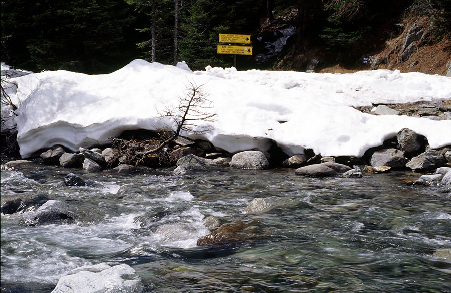 Mallero, neve, Leica M...eddio
