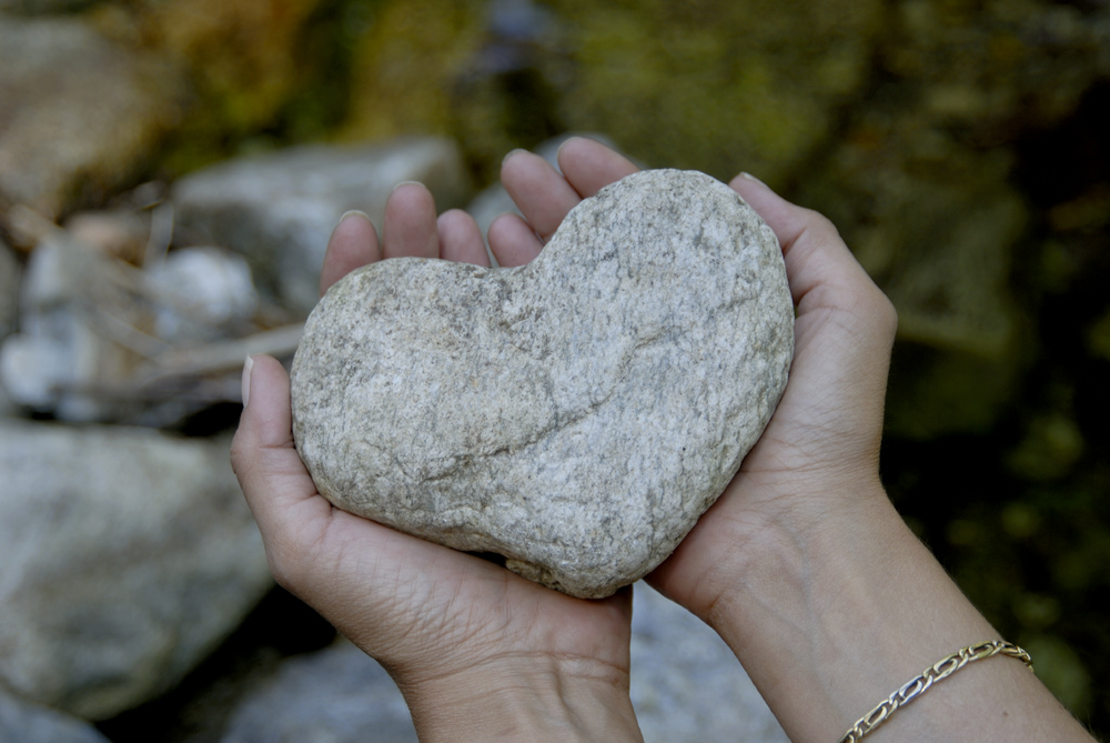 Cuore