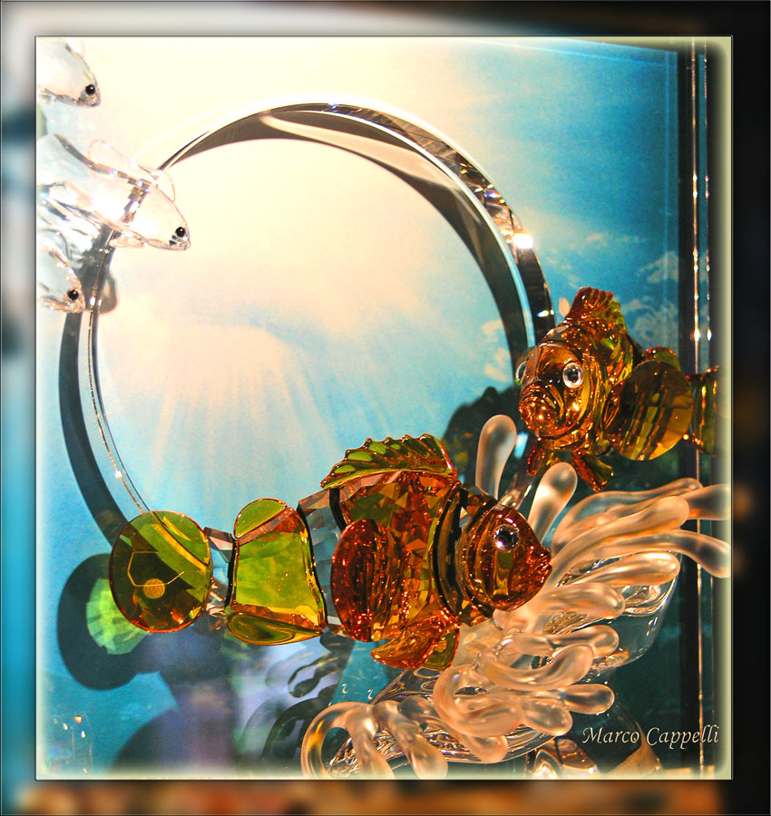 Acquario!