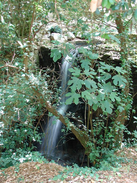 cascata nel bosco