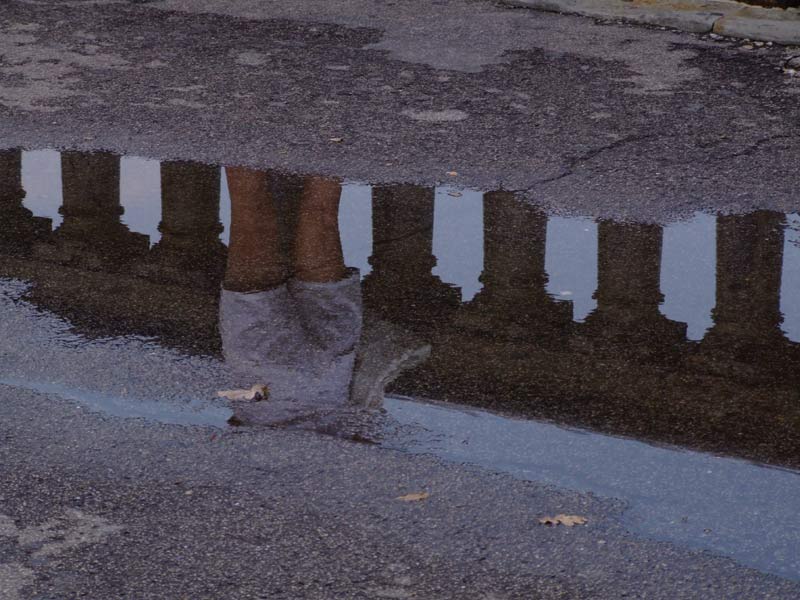 Riflessi in una pozza.