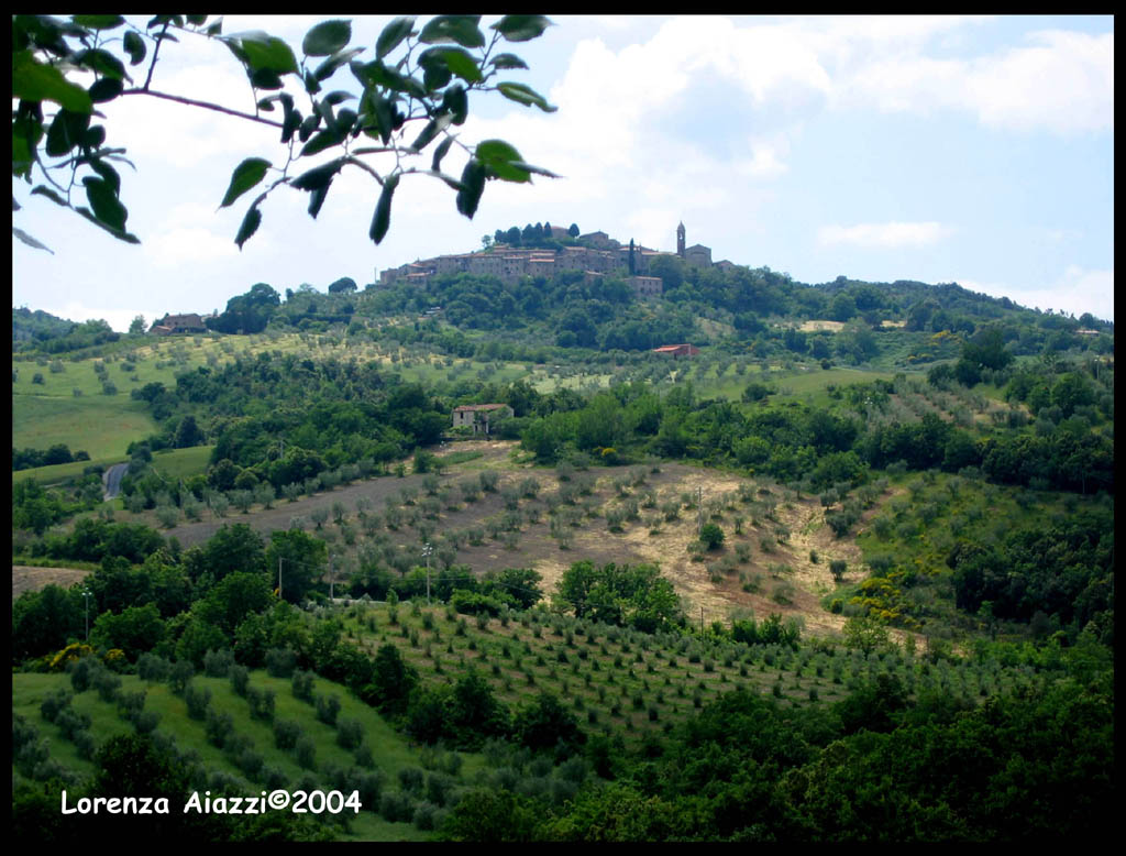 Campagna senese