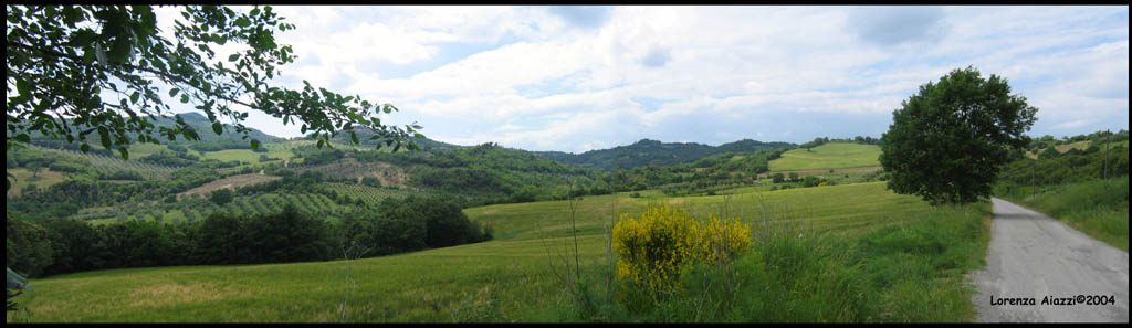 Panoramica campagna senese