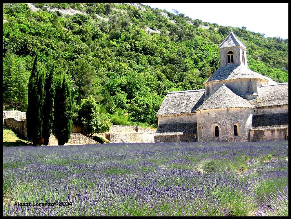 Abbazia Senanque