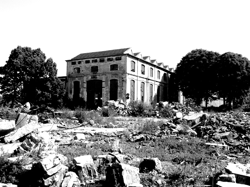 contorno