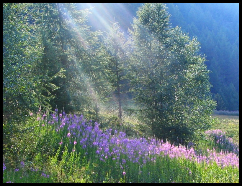 Raggi di sole