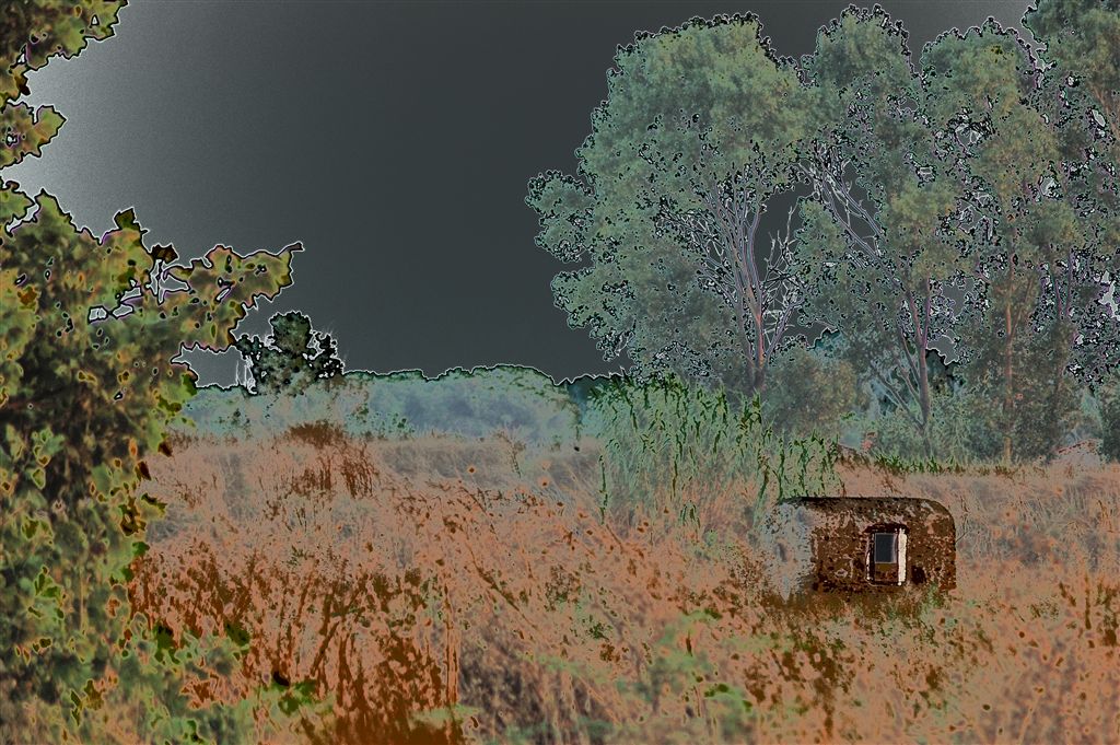 Fortino
