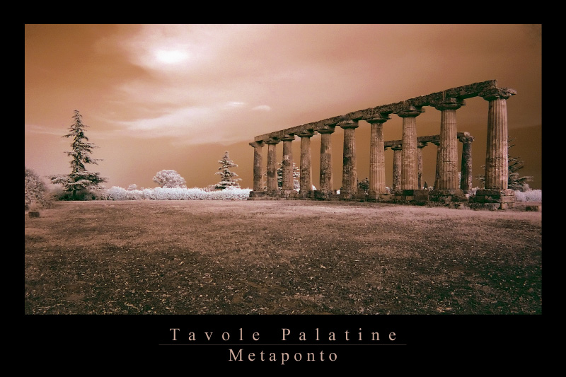 Tavole Palatine