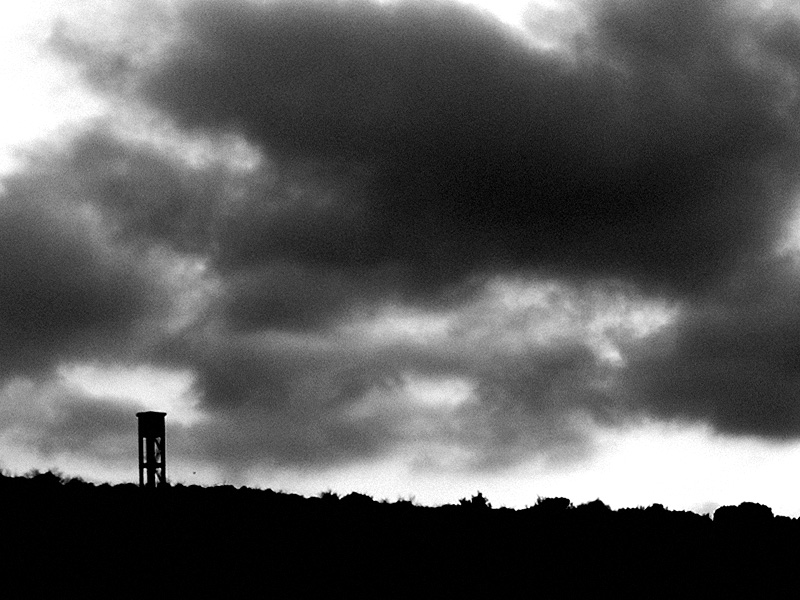 Torre