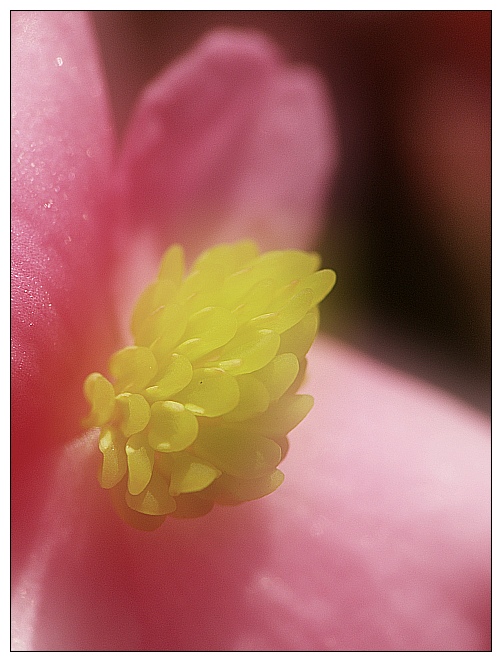 Delicato...
