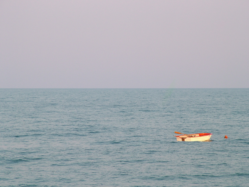 mare