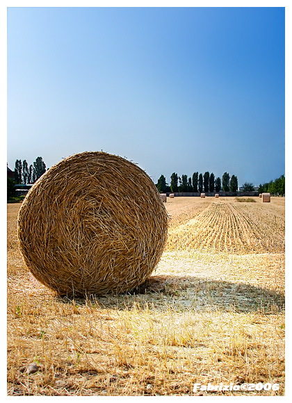dscf5461