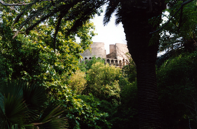 Castello tra alberi